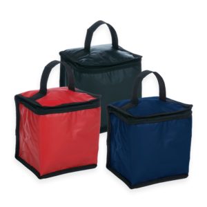 14310-Bolsa Térmica 4 Litros