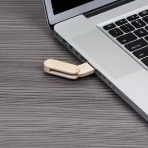 00033-4GB-Pen Drive 4GB Bambu Giratório