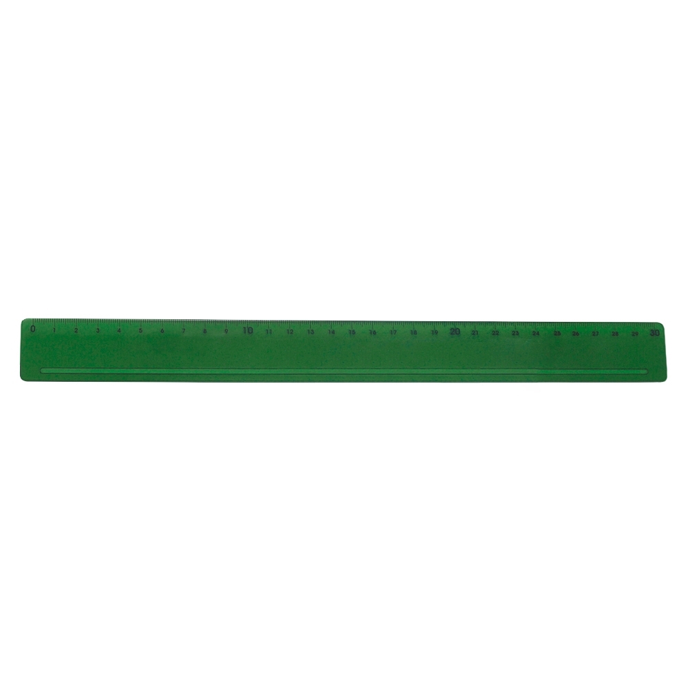13763PET-Régua Plástica PET 30cm